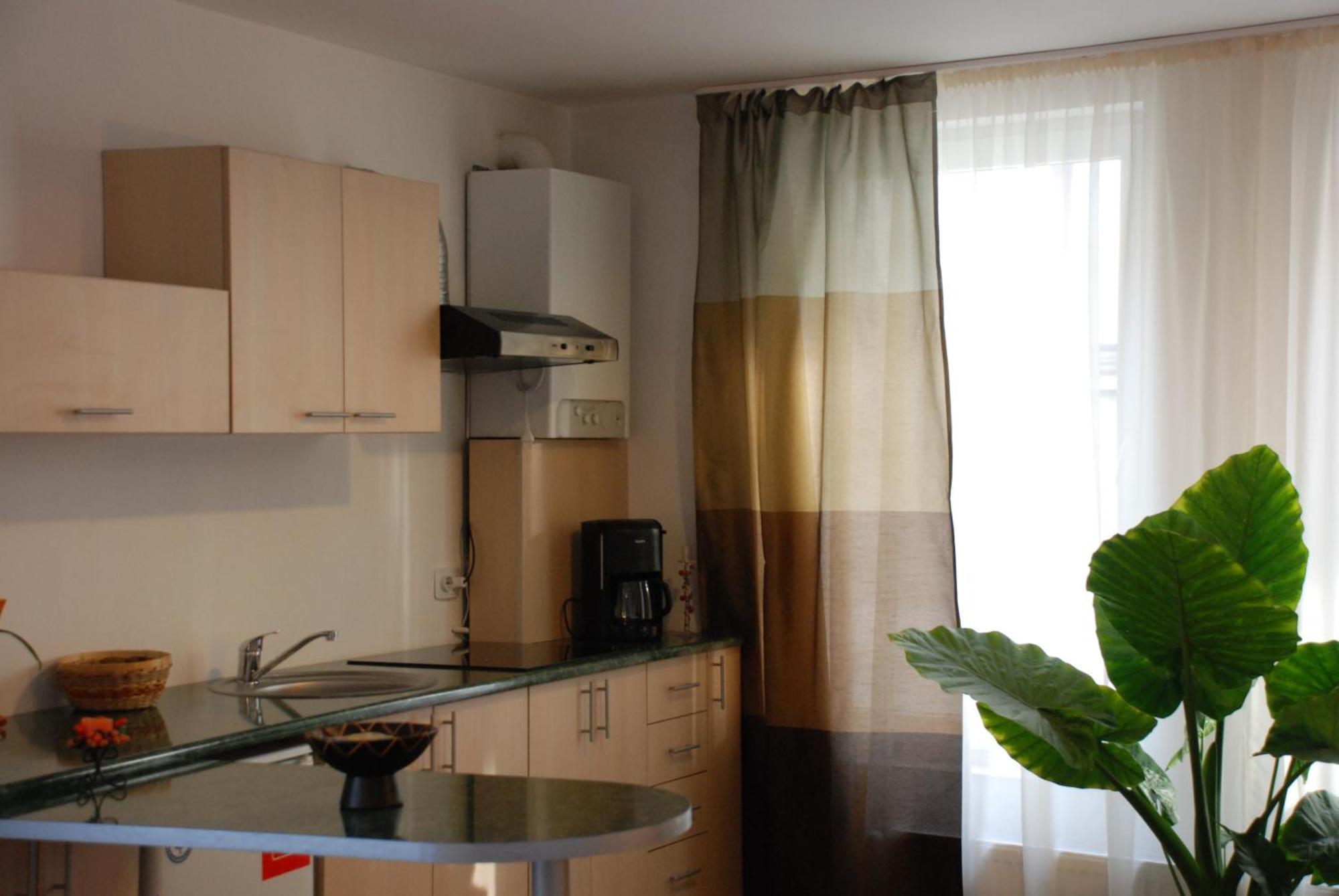 Lucas 10 Apartments Κλουζ-Ναπόκα Εξωτερικό φωτογραφία